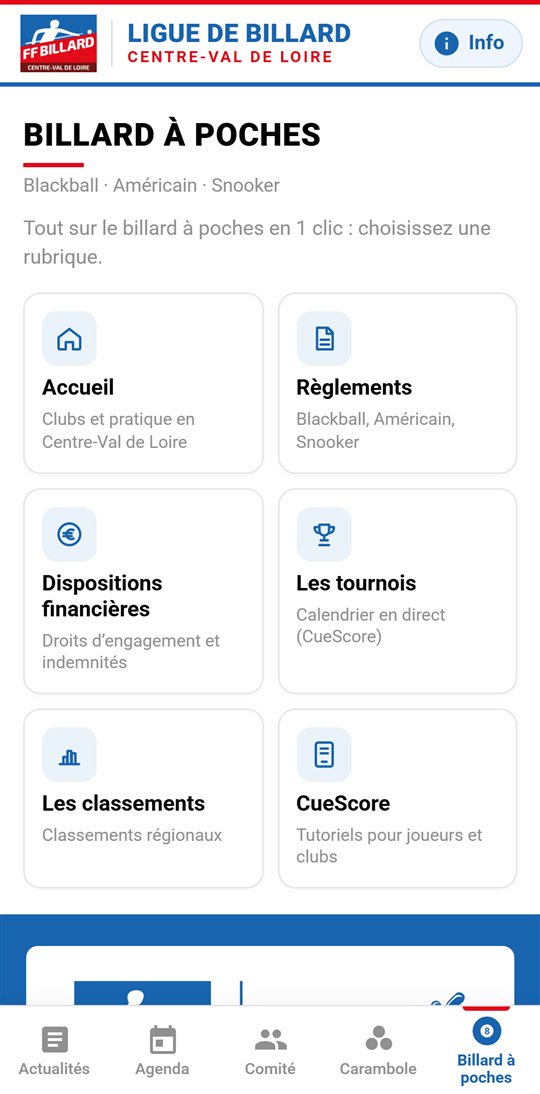 Écran Billard à poches